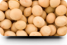 Oleum - Aceite y Expeller de Soja