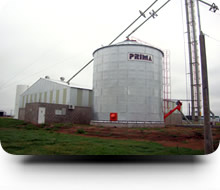 Oleum - Aceite y Expeller de Soja