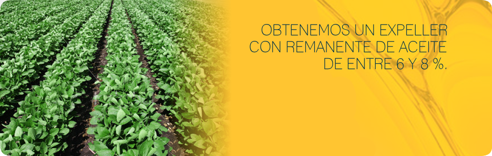 Oleum - Aceite y Expeller de Soja