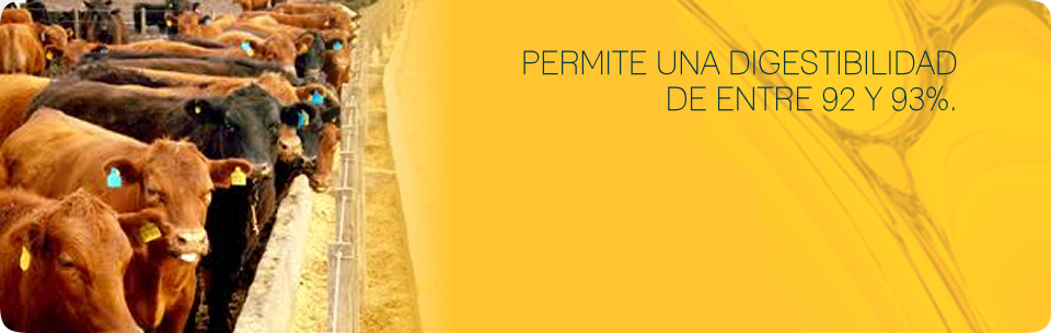 Oleum - Aceite y Expeller de Soja