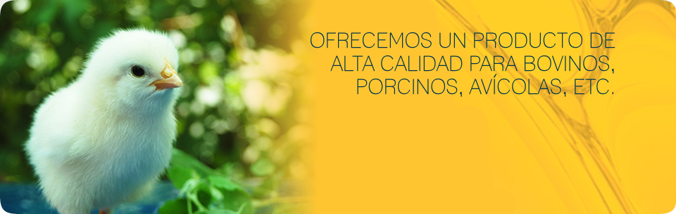 Oleum - Aceite y Expeller de Soja